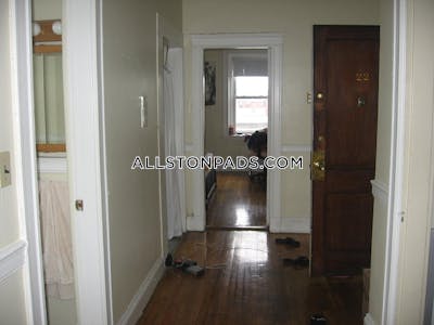 Allston Apartment for rent 1 Bedroom 1 Bath Boston - $2,900