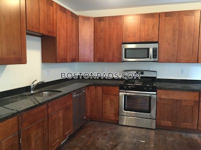 Allston/brighton Border Apartment for rent 4 Bedrooms 2 Baths Boston - $5,400