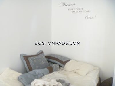 Northeastern/symphony 1 Bed 1 Bath Boston - $2,800