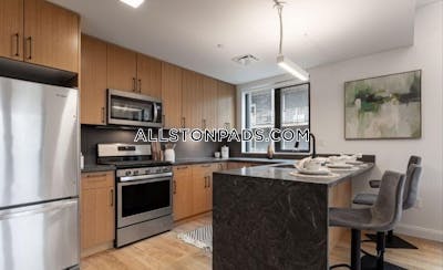 Allston Apartment for Rent in Allston Boston - $5,750 No Fee