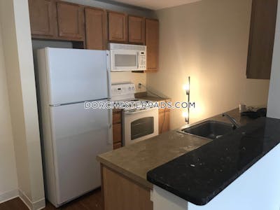 Dorchester Apartment for rent 2 Bedrooms 2 Baths Boston - $6,447 No Fee