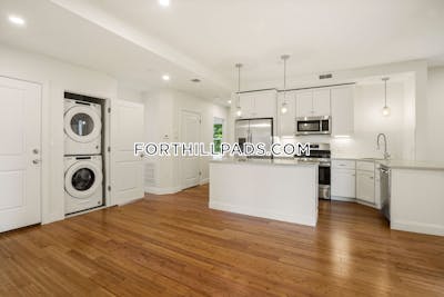 Fort Hill Apartment for rent 4 Bedrooms 2 Baths Boston - $6,000
