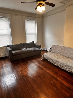 Northeastern/symphony Apartment for rent 3 Bedrooms 1 Bath Boston - $4,650