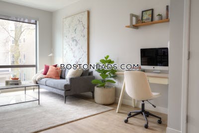 Dorchester 1 bedroom  Luxury in BOSTON Boston - $3,230