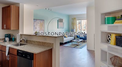 Dorchester Studio  Luxury in BOSTON Boston - $2,419 No Fee