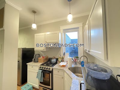 Allston/brighton Border Apartment for rent 1 Bedroom 1 Bath Boston - $3,050