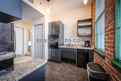Waltham Studio 1 baths Luxury in WALTHAM - $4,299 No Fee