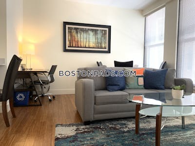 Downtown Apartment for rent 1 Bedroom 1 Bath Boston - $3,100