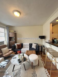 Fenway/kenmore Apartment for rent 1 Bedroom 1 Bath Boston - $2,925