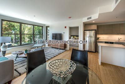 Allston Apartment for rent 2 Bedrooms 2 Baths Boston - $4,250