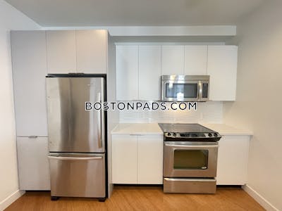 Downtown Apartment for rent 1 Bedroom 1 Bath Boston - $3,885
