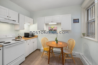 Allston/brighton Border Apartment for rent 3 Bedrooms 1 Bath Boston - $3,000