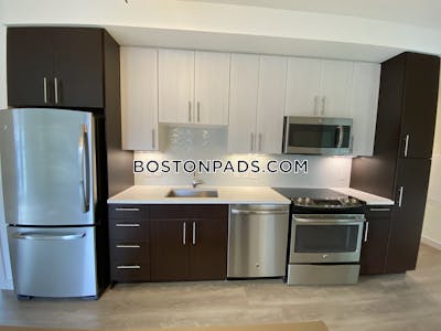 West End Apartment for rent 2 Bedrooms 2 Baths Boston - $5,088